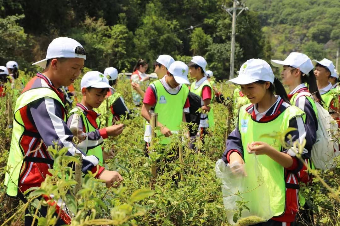 云南羅平縣：多元業態解鎖村集體經濟壯大“新密碼”